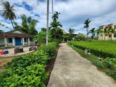 Bán nhà vườn cổ diện tích 978m2 ngang gần 20m Thôn Trung xã Vĩnh Phương gần Ủy ban và Chợ 2