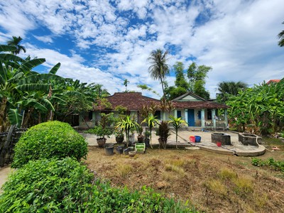 Bán nhà vườn cổ diện tích 978m2 ngang gần 20m Thôn Trung xã Vĩnh Phương gần Ủy ban và Chợ 0