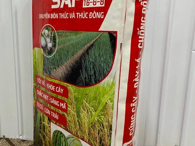 Bao PP đựng 5kg gạo 4