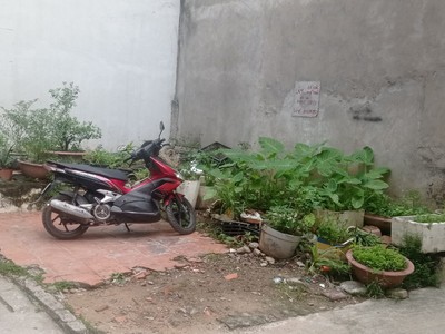 Cứu Thương Staria Nhập Khẩu Hàn Quốc 462