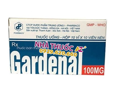 Cứu Thương Staria Nhập Khẩu Hàn Quốc 373