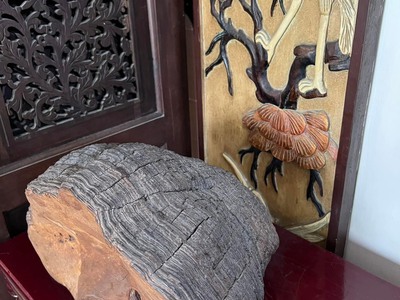 Cứu Thương Staria Nhập Khẩu Hàn Quốc 378