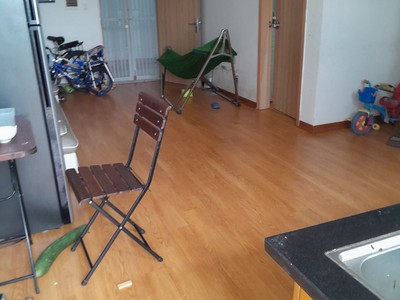 Chính chủ cần bán căn hộ chung cư Penthouse Thanh Hà Cienco 5 chỉ 1 tỉ 050 triệu 2