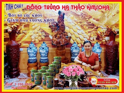 Bán đông trùng hạ thảo KIMSOHA - Bồi bổ sức khỏe, giảm đau xương khớp 0