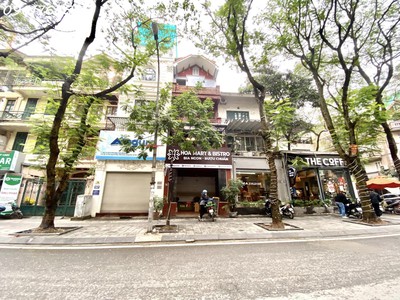 Cứu Thương Staria Nhập Khẩu Hàn Quốc 2031