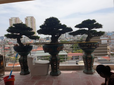 Cứu Thương Staria Nhập Khẩu Hàn Quốc 3207