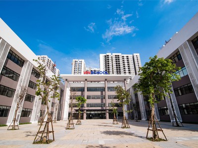 Cứu Thương Staria Nhập Khẩu Hàn Quốc 2629