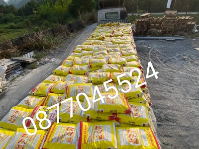Cứu Thương Staria Nhập Khẩu Hàn Quốc 2702