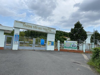 Cứu Thương Staria Nhập Khẩu Hàn Quốc 3192