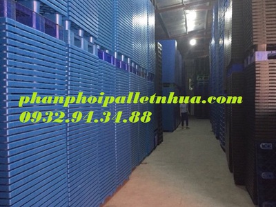 Chuyên cung cấp pallet nhựa cũ tại An Giang 3
