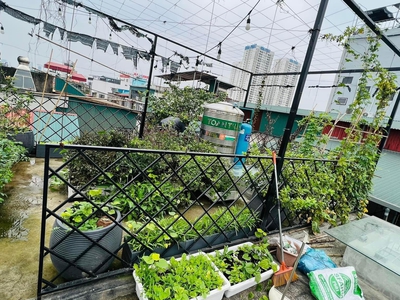 Cứu Thương Staria Nhập Khẩu Hàn Quốc 4593