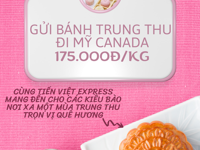 Gửi bánh trung thu đi Mỹ Canada uy tín nhất - Tiến Việt Express 0
