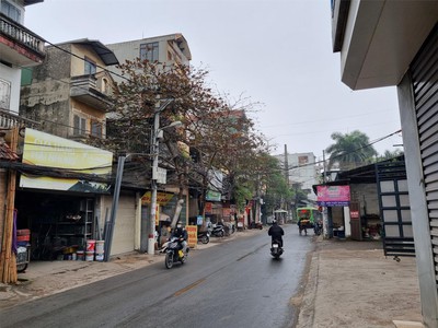 Cứu Thương Staria Nhập Khẩu Hàn Quốc 4511