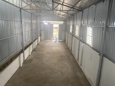 Cứu Thương Staria Nhập Khẩu Hàn Quốc 5298