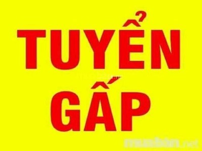 Cửa hàng mới khai Trương, Cần Tuyển bổ sung nhân viên, 0