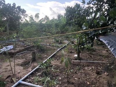 Cứu Thương Staria Nhập Khẩu Hàn Quốc 4972