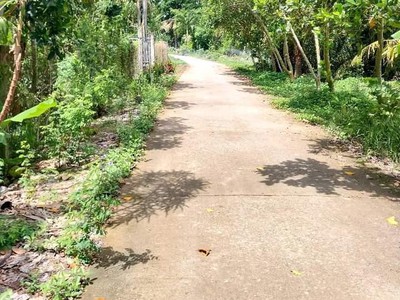 Cứu Thương Staria Nhập Khẩu Hàn Quốc 4974