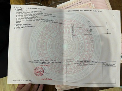Cứu Thương Staria Nhập Khẩu Hàn Quốc 5015