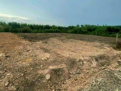 Cứu Thương Staria Nhập Khẩu Hàn Quốc 5018