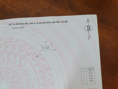 Cứu Thương Staria Nhập Khẩu Hàn Quốc 6029