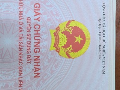 Cứu Thương Staria Nhập Khẩu Hàn Quốc 6030