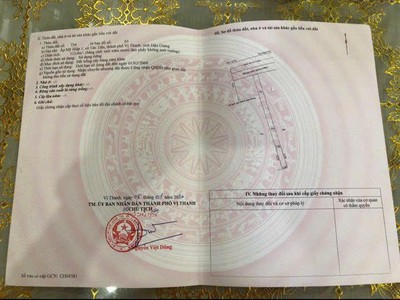 Cứu Thương Staria Nhập Khẩu Hàn Quốc 6133