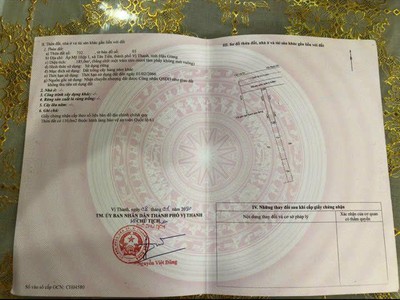 Cứu Thương Staria Nhập Khẩu Hàn Quốc 6135
