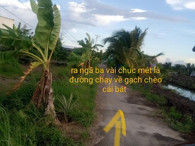 Cứu Thương Staria Nhập Khẩu Hàn Quốc 6225
