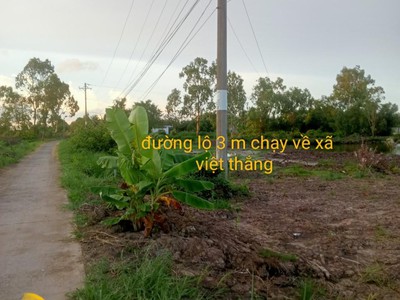Cứu Thương Staria Nhập Khẩu Hàn Quốc 6226