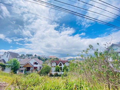Cứu Thương Staria Nhập Khẩu Hàn Quốc 6773