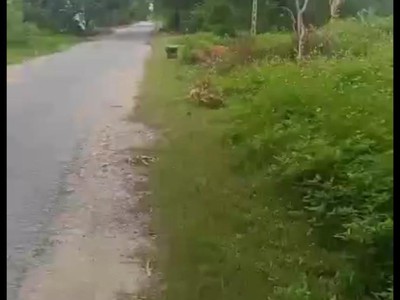 Chính chủ cần bán lô đất vị trí đắc địa tại  xã xuân lộc, huyện hậu lộc, tỉnh thanh hóa 2