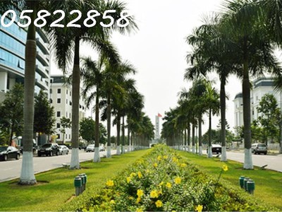 Bán đất tặng biệt thự đường 30 tháng 4, hòa cường bắc, hải châu, đà nẵng 1