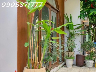 Toà căn hộ góc 2 mặt tiền nguyễn hữu thọ, dòng tiền 800tr. có thang máy. nội thất xịn. cạnh sân bay 1