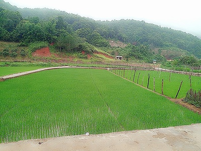Chính chủ cần bán đất nghỉ dưỡng mộc châu-sơn la 0
