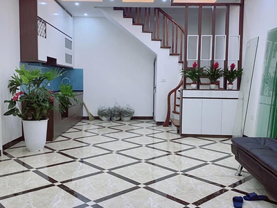 Bán nhà trần khát chân - lạc nghiệp - ô tô - 30 m2 - 5t - 4 tỷ 2 - trung tâm hai bà trưng 0