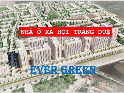 Dự án noxh evergreen tràng duệ 2023 gồm 10 tòa nhà cao 15 tầng 0