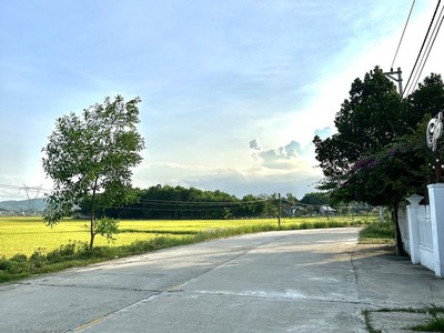 Bán gấp lô mt ngay QLo 14B ngang 9 Hòa Vang Đà Nẵng Cách chợ Túy Loan 1km chỉ 7xx 2