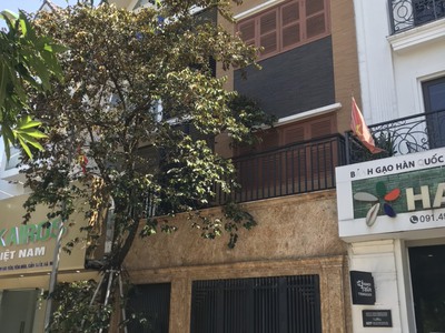 Bán lk a10 nguyễn chánh, cầu giấy. dt 75m x 4 tầng,mt 6m, hoàn thiện. giá 23,2 tỷ 0