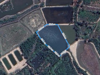 Đất nông nghiệp đường Bà Xán, xã Bình Khánh, Cần Giờ. Giá mềm 550k/m2. 2,29 tỷ 0