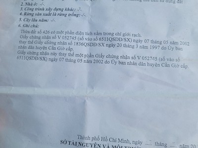 Đất nông nghiệp đường Bà Xán, xã Bình Khánh, Cần Giờ. Giá mềm 550k/m2. 2,29 tỷ 4