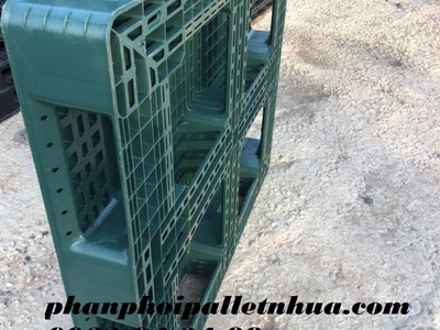Địa chỉ phân phối pallet nhựa cũ uy tín tại miền nam 3
