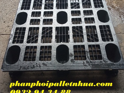 Địa chỉ phân phối pallet nhựa cũ uy tín tại miền nam 4