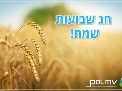 Màng nhà kính Politiv Israel,vật tư nhà kính Politiv, màng nhà kính tốt nhất, 1