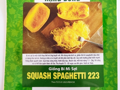 Hạt giống Bí mì sợi Rạng Đông Squash Spaghetti 223 0