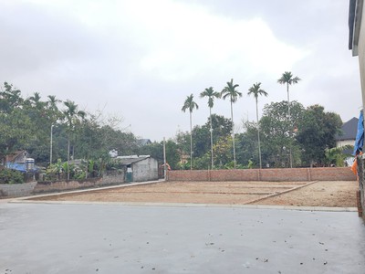 Bán đất gần cầu khuể Chiến Thắng An Lão Hải Phòng 0