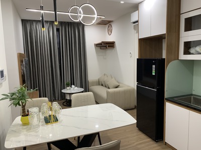 Cho thuê hoặc sang nhượng căn chung cư cao cấp mới hoàn thiện nội thất tại kđt ecopark hải dương 1