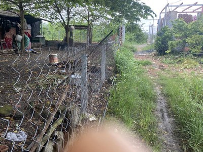 Chính chủ cần bán lô đất đẹp- giá ưu đãi đường tx25, phường thạnh xuân, quận 12 0
