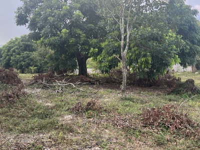 Chính chủ cần bán 5 lô liền kề tại thôn làng, xã thống nhất, tp. hạ long 0