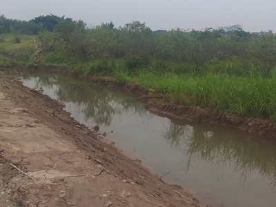 Bán 1.2ha đất nhà xưởng tại cao an, cẩm giàng, hải dương 1