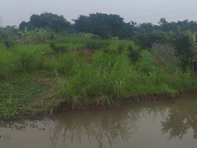 Bán 1.2ha đất nhà xưởng tại cao an, cẩm giàng, hải dương 0